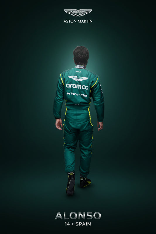 Back view showing Alonso name, number 14, and large team logo.